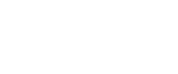 logo citiz